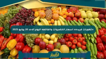 «تطورات فريدة» أسعار الخضروات والفاكهة اليوم الأحد 20 يوليو 2025